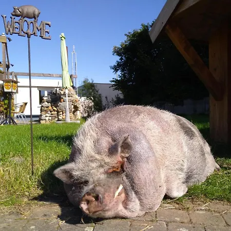 Katoo Bed & Breakfast Linne